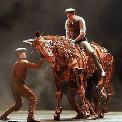War Horse
